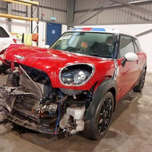 MINI PACEMAN