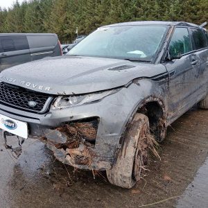 LAND ROVER RANGEROVER