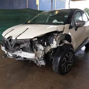 RENA CAPTUR