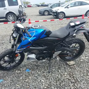 SUZUKI GSXS