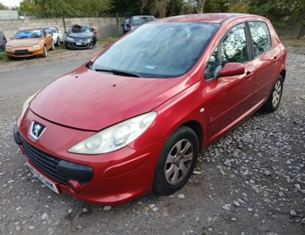 PEUGEOT 307